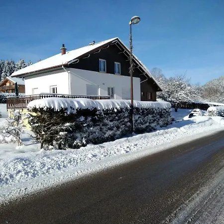 Gite 60M2 Xonrupt-Longemer Exterior photo